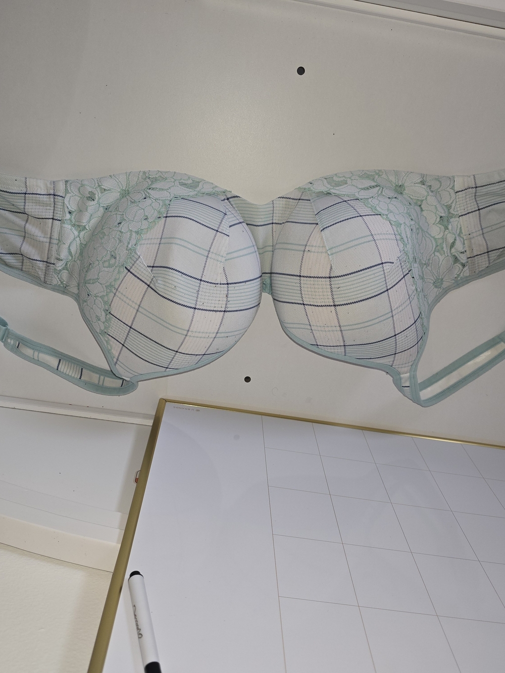 Cacique Mint Plaid Lace Push-Up Bra